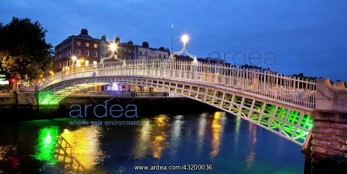: River Liffey with the Halfpenny Bridge, also known : River Liffey with the Halfpenny Bridge, also known