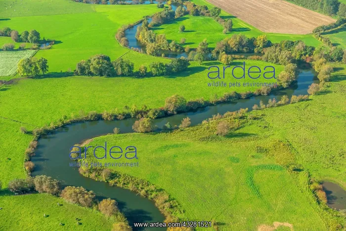 : River Lippe, Lippe meadows, Lippe meadows, nature : River Lippe, Lippe meadows, Lippe meadows, nature