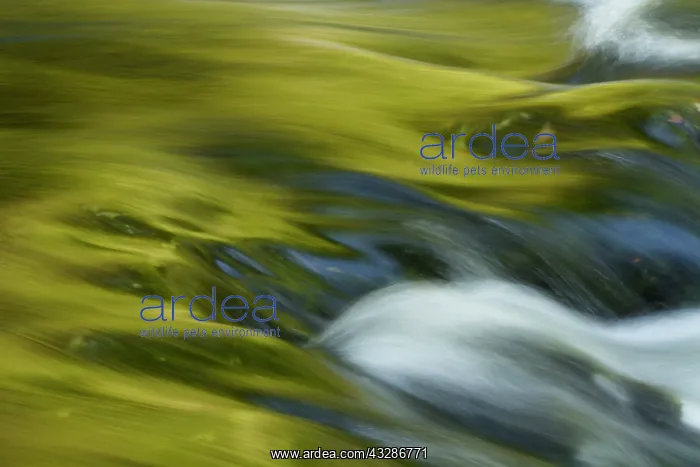 : River Llugwy - Autumn : River Llugwy - Autumn