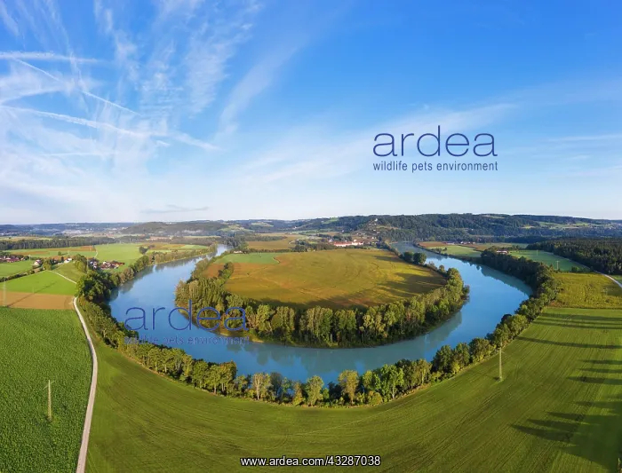 : River loop of the Inn, behind monastery Au am Inn : River loop of the Inn, behind monastery Au am Inn