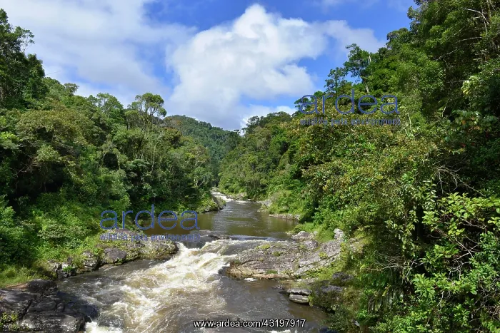 : River meander, rainforest, Ranomafana National Park : River meander, rainforest, Ranomafana National Park