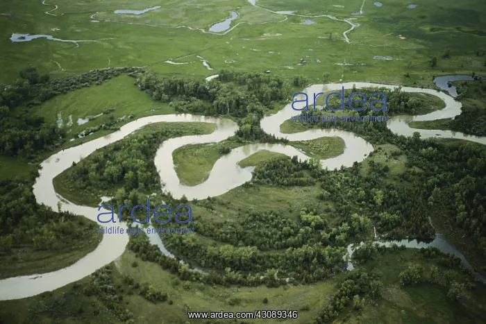 : River Meanders in Montana : River Meanders in Montana