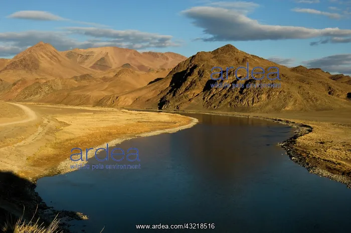 : River in Mongolia : River in Mongolia