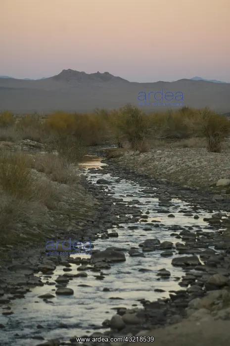  : River & mountain range