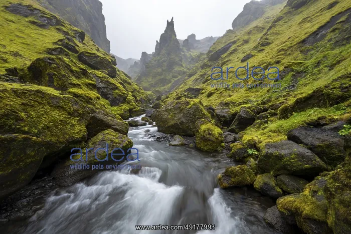 : River in narrow gorge, Pakgil : River in narrow gorge, Pakgil