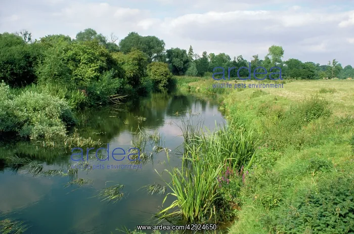  : River Ouse Bromham, Bedfordshire, UK