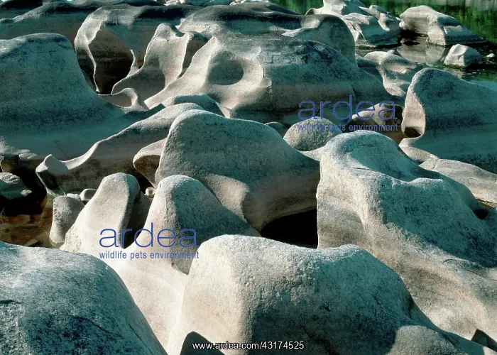 : River Potholes : River Potholes