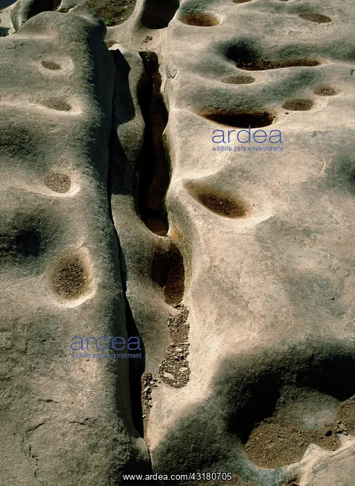 : River Potholes : River Potholes