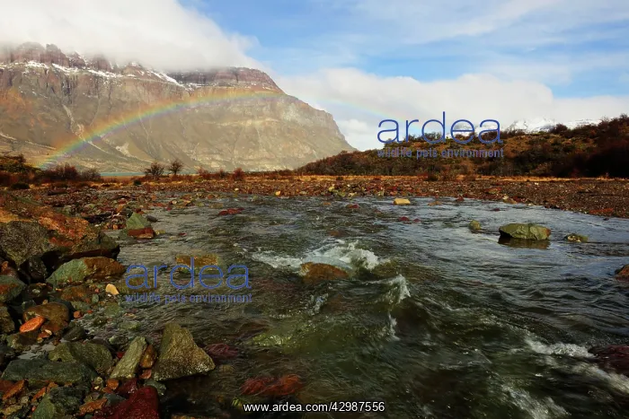 : River and Rainbow : River and Rainbow