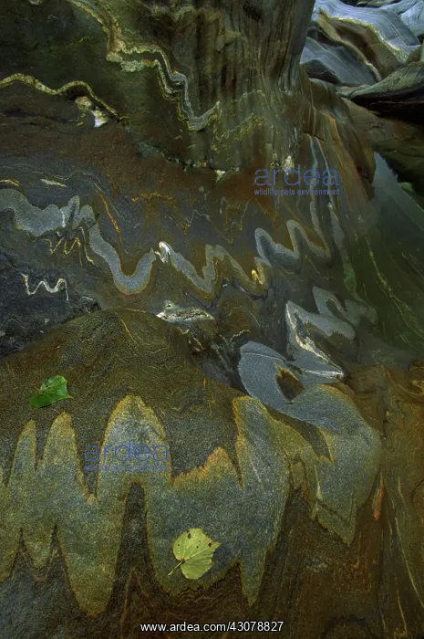 : River rock intrusions : River rock intrusions