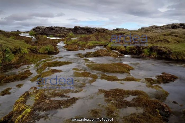 : River running through volcanic landscape : River running through volcanic landscape