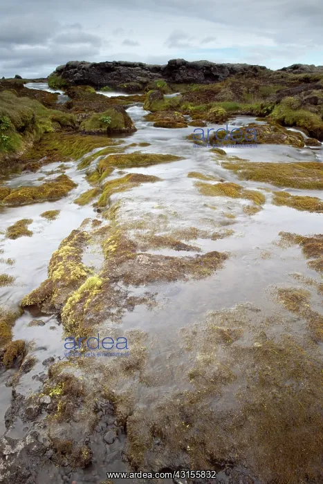  : River running through volcanic landscape
