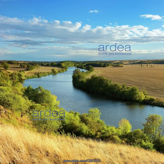 : River Saale, Autumn Landscape, Lower Saale Valley : River Saale, Autumn Landscape, Lower Saale Valley