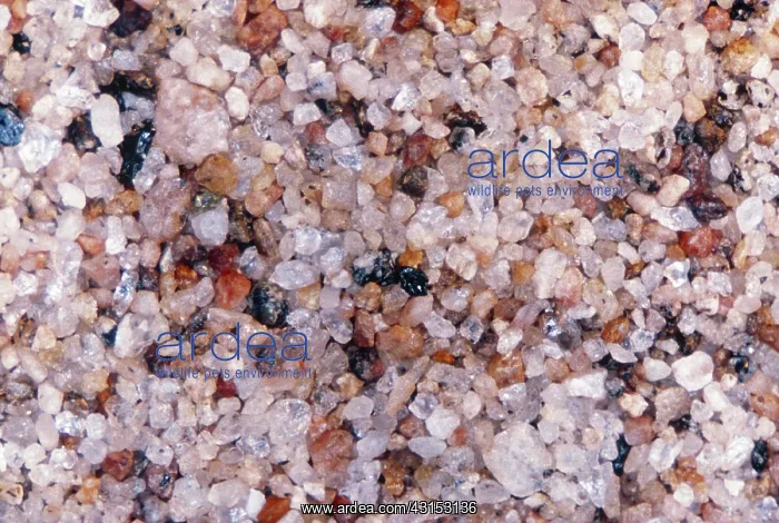 : River Sand : River Sand