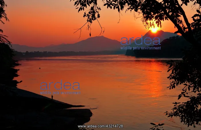 : River scene at sunset with boat on Mekong : River scene at sunset with boat on Mekong