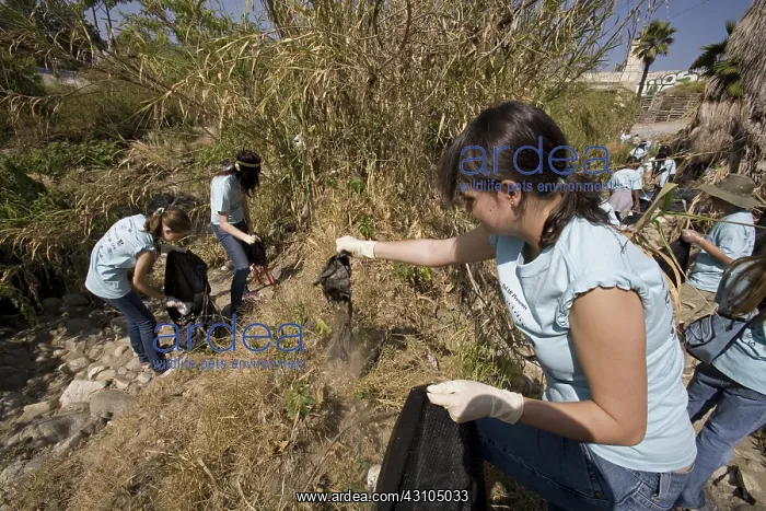 : River School Day, LA River Clean-up : River School Day, LA River Clean-up