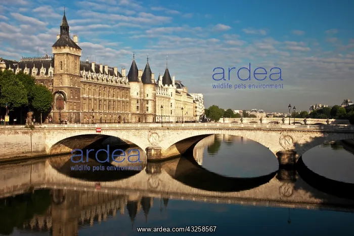  : River Seine, the Concierge and Pont au Change