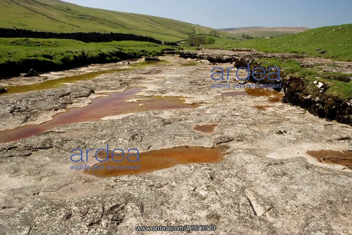 : River Skirfare in Littondale, already almost dry : River Skirfare in Littondale, already almost dry