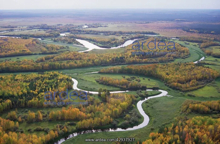 : River Sosva meanders, forest and meadows (used : River Sosva meanders, forest and meadows (used