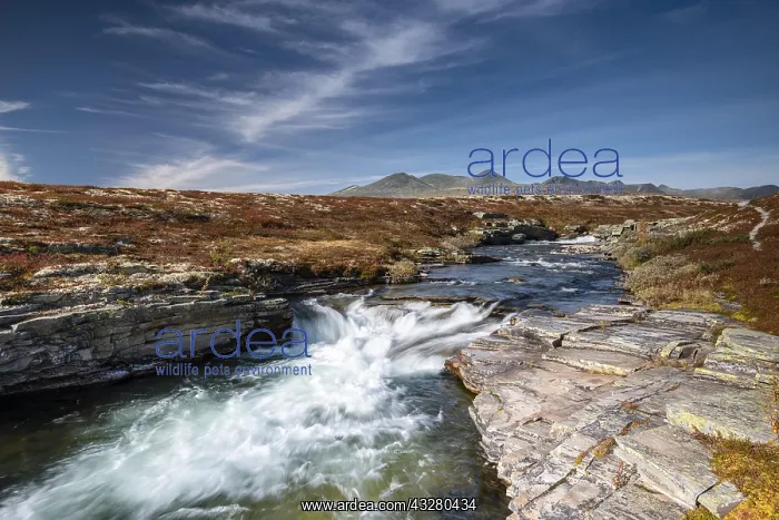 : River Store Ula in autumn Rondane National Park : River Store Ula in autumn Rondane National Park