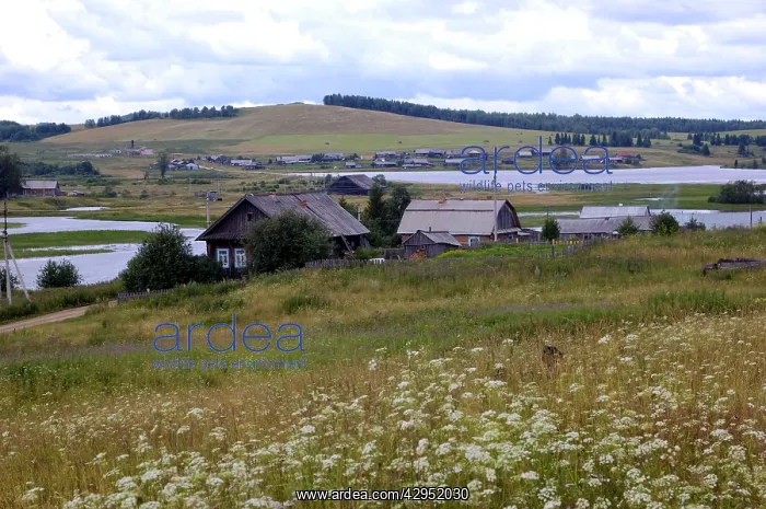 : River Syilva / Sylva passing through Syilva / : River Syilva / Sylva passing through Syilva /