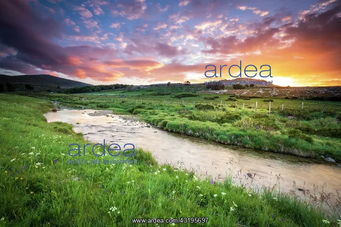: River Tarn near its source, Mas Camargues, the Causses : River Tarn near its source, Mas Camargues, the Causses