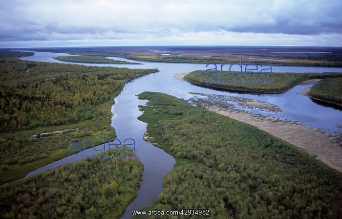 : River Taz with sand-shelves, old river beds & islands : River Taz with sand-shelves, old river beds & islands