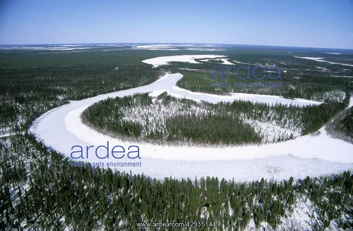 : River Taz winter aerial, North Siberia : River Taz winter aerial, North Siberia