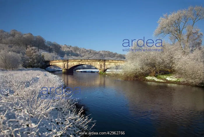 : River Tent flowing under the Wolseley bridge on : River Tent flowing under the Wolseley bridge on