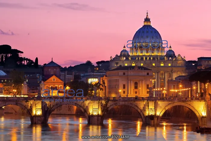 : River Tiber, Ponte Sant Angelo and St. Peter's : River Tiber, Ponte Sant Angelo and St. Peter's