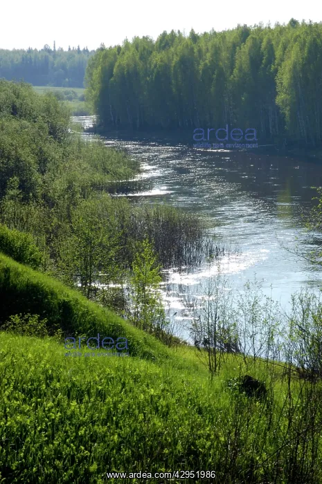 : River Tura in North Ural Mountains - a typical : River Tura in North Ural Mountains - a typical