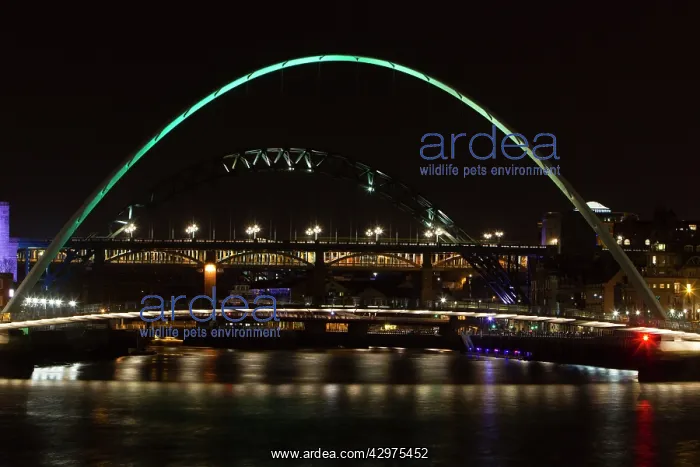 : River Tyne Millennium Bridge - at night : River Tyne Millennium Bridge - at night