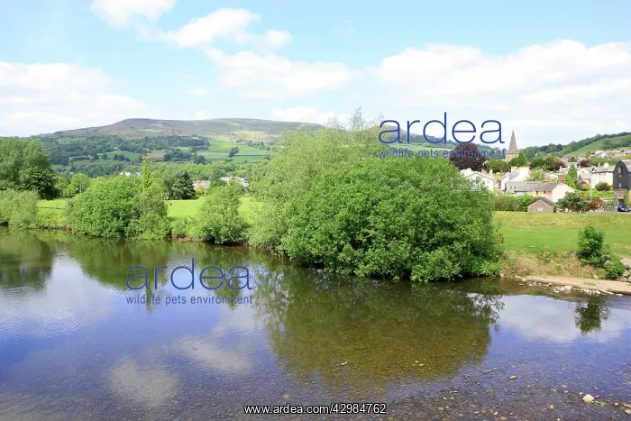 : The River Usk : The River Usk