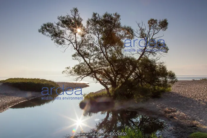 : River Verkean streams in the Baltic sea at summer : River Verkean streams in the Baltic sea at summer
