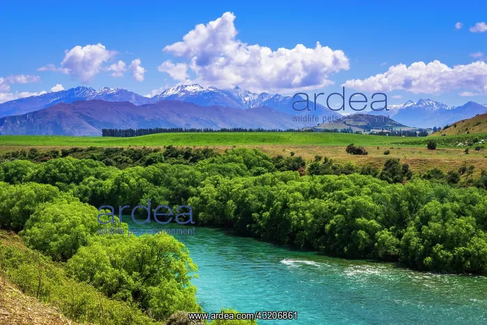 : River view from the Upper Clutha River Track, Central : River view from the Upper Clutha River Track, Central