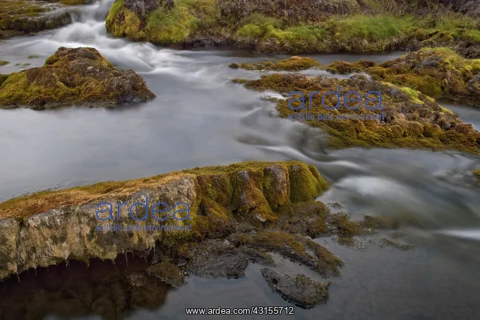 : River in vulcanic landscape : River in vulcanic landscape