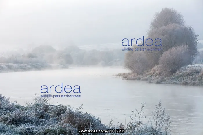 : River Weser on a frosty morning in November - Lower : River Weser on a frosty morning in November - Lower