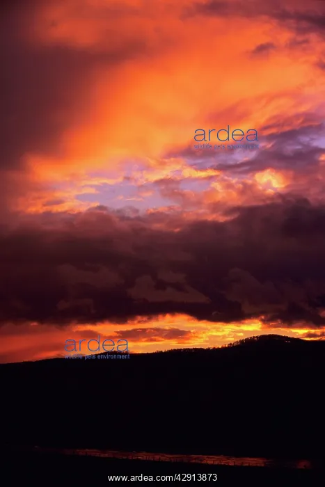 : River Weser - sunset in winter over hills : River Weser - sunset in winter over hills