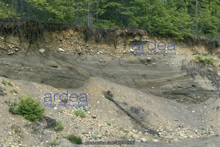  : Riverbank Sediments