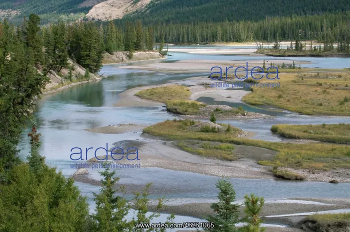 : Rivers run through a lowland section of : Rivers run through a lowland section of