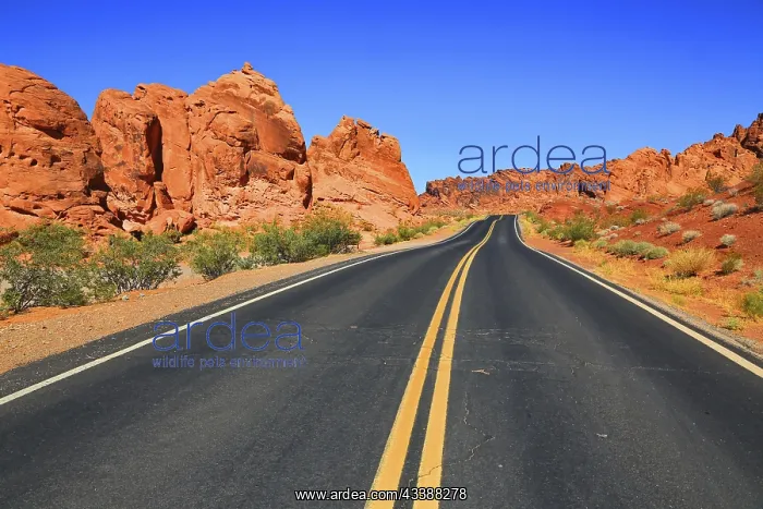 : Road : Road