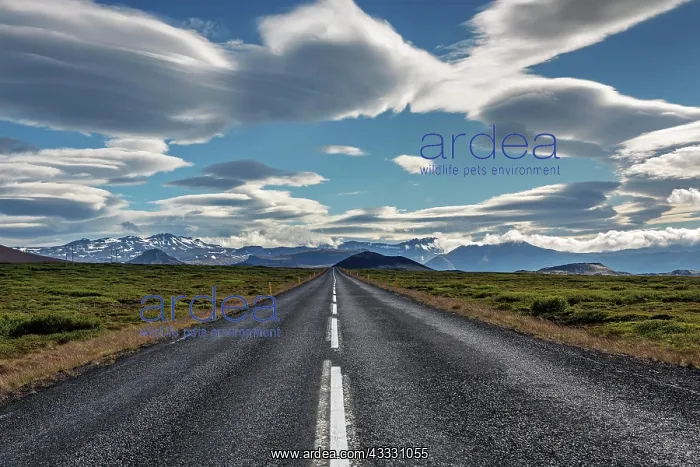 : Road 54 near Stykkisholmur, cloud formations, snow-capped : Road 54 near Stykkisholmur, cloud formations, snow-capped