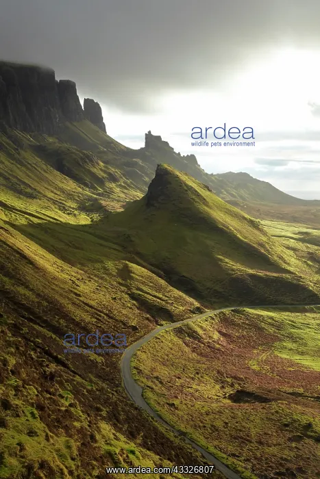 : Road ascending The Quiraing, Isle of Skye : Road ascending The Quiraing, Isle of Skye