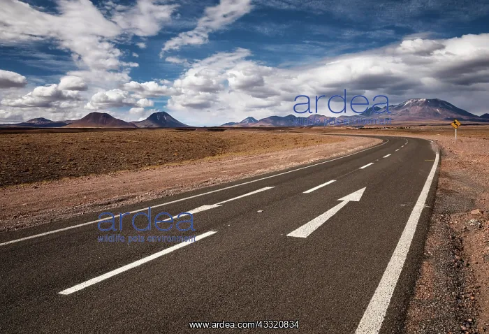 : Road through the Atacama desert, behind volcanoes : Road through the Atacama desert, behind volcanoes