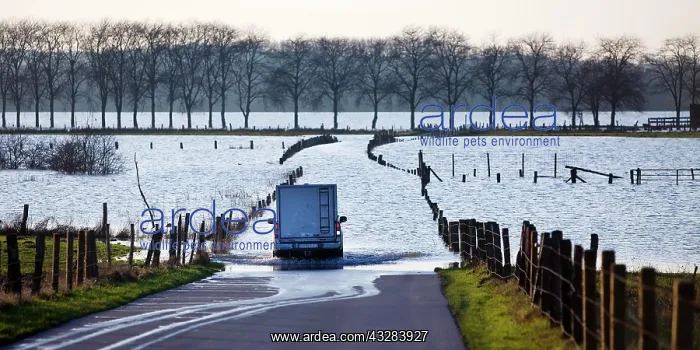 : Road to Bislicher Insel at high tide on the Lower : Road to Bislicher Insel at high tide on the Lower
