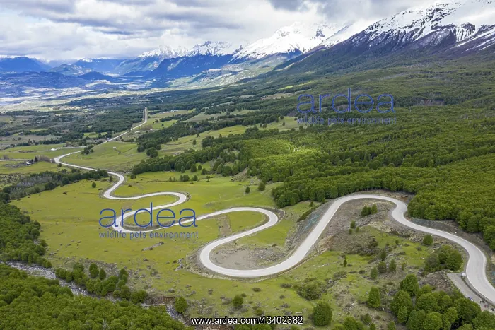 : Road Carretera Austral winding down into the valley : Road Carretera Austral winding down into the valley