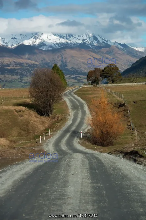 : Road through countryside : Road through countryside