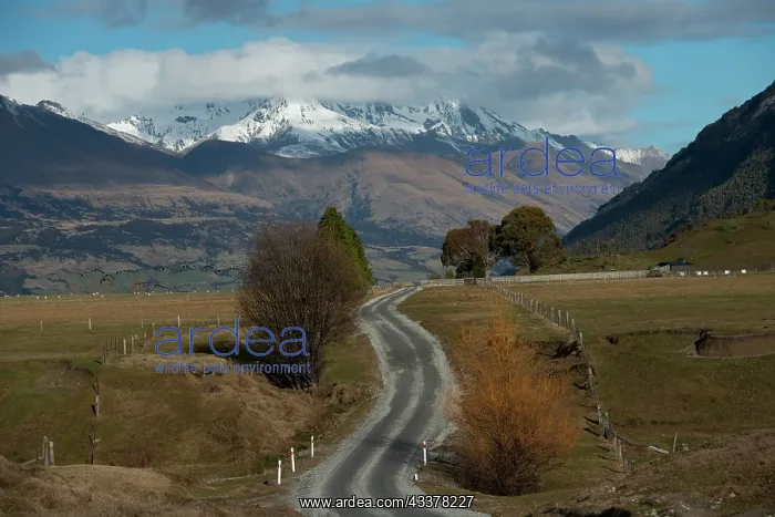 : Road through countryside : Road through countryside