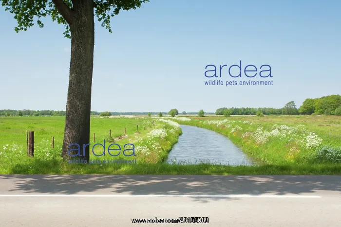  : Road crossing a stream through meadowfields