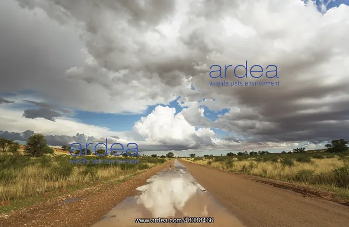 : Road and Cumulus clouds in the Kalahari Desert during : Road and Cumulus clouds in the Kalahari Desert during